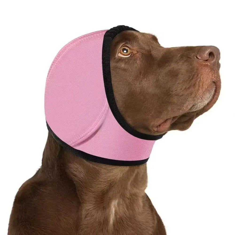 Dog Ear Protection