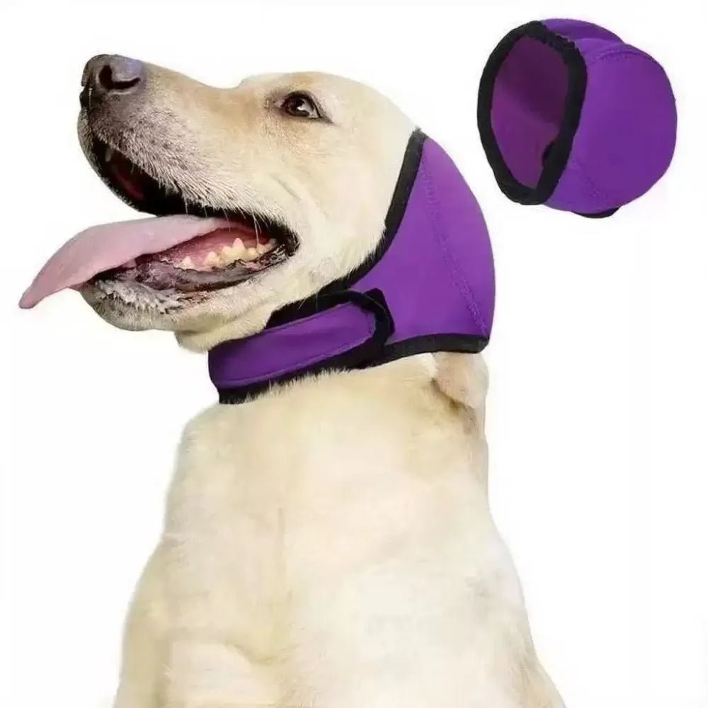Dog Ear Protection