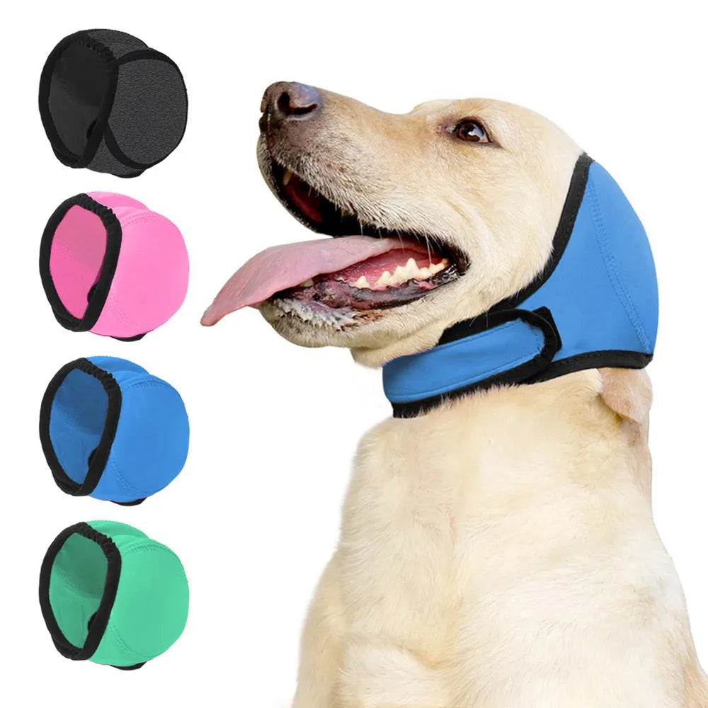 Dog Ear Protection